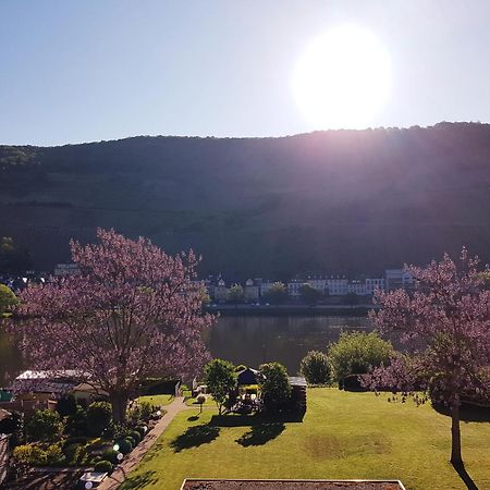 Zum Blauglockenbaum Apartamento Zell an der Mosel Exterior foto