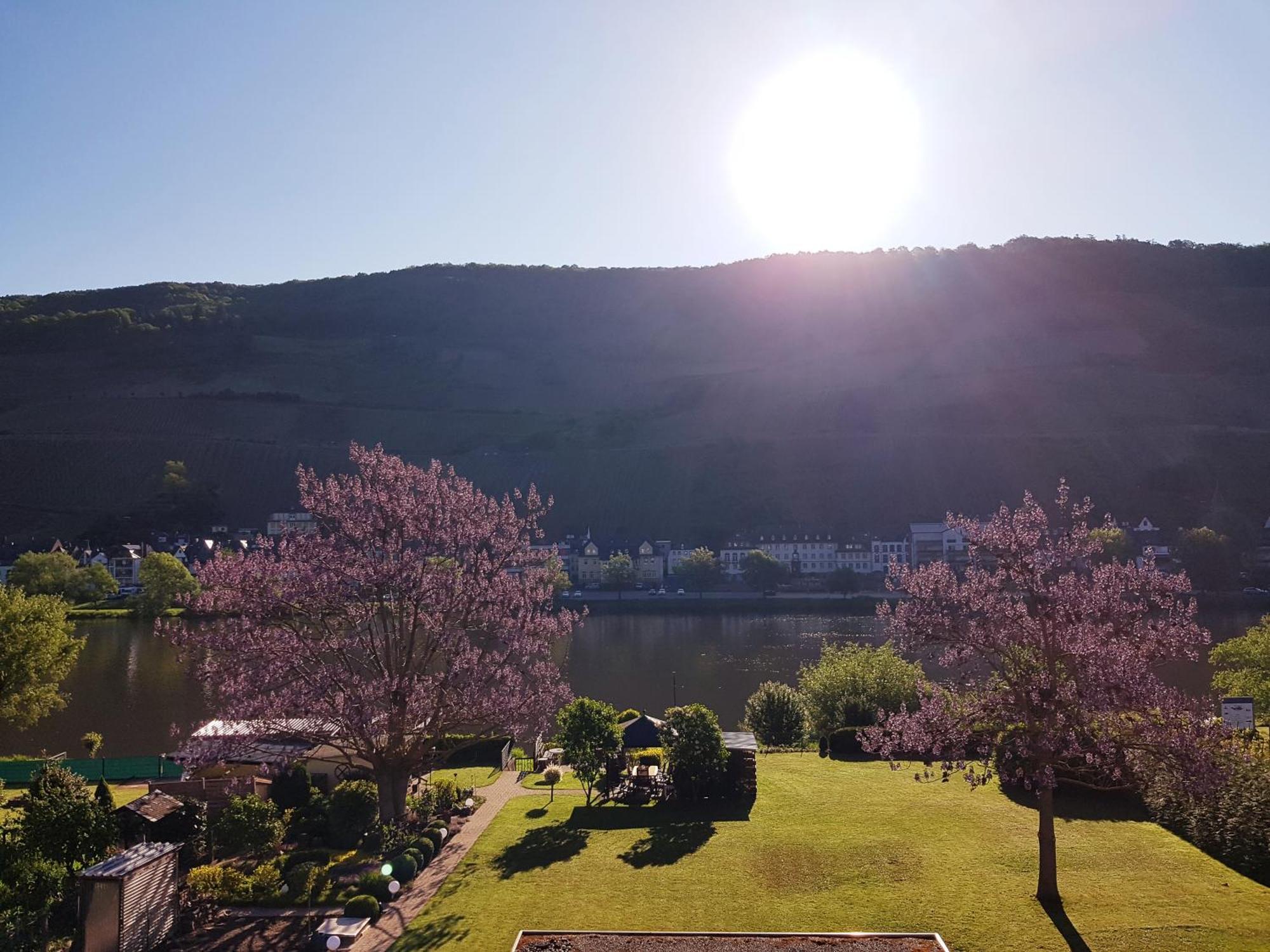 Zum Blauglockenbaum Apartamento Zell an der Mosel Exterior foto